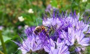 IMG 4158
