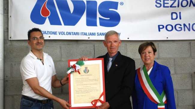 avis pogno 60