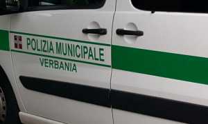 logo pl vb
