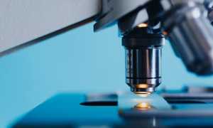 microsopio