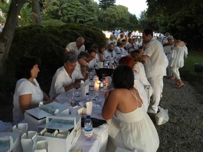 pic nic stelle vb 7