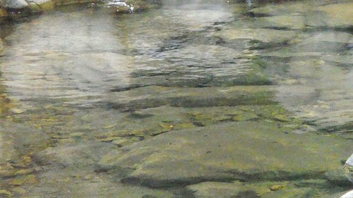 torrente