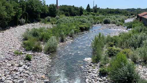 torrente cervo