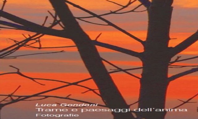 gondoni