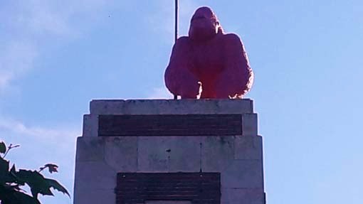 pink kong arona