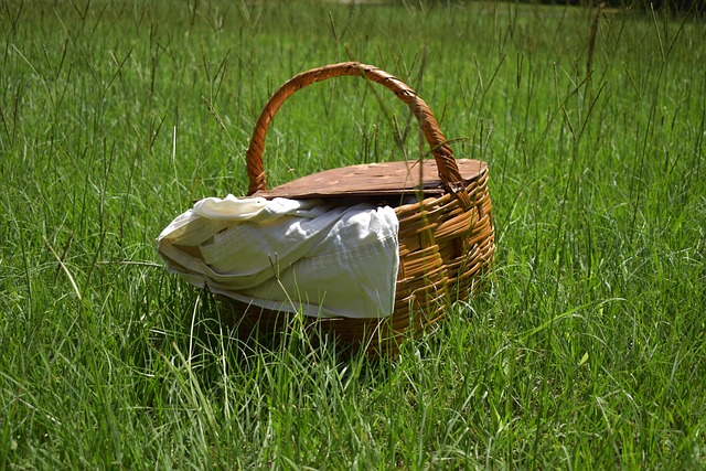 cestino pic nic