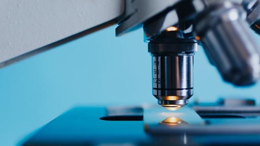 microsopio