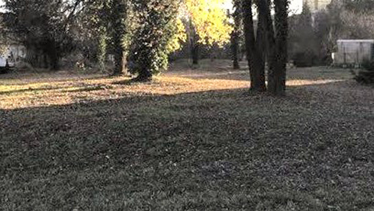 area verde via redi