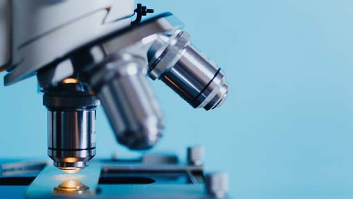 microscopio
