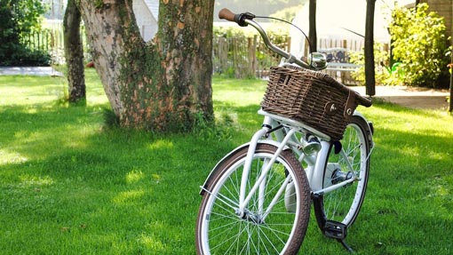 bici cestino
