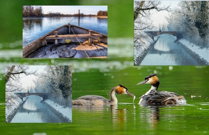 locandina mostra collettiva Ticino