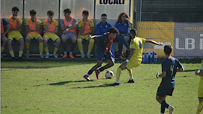 borgaro accademia borgomanero