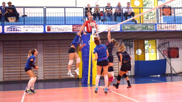 palzola legnano