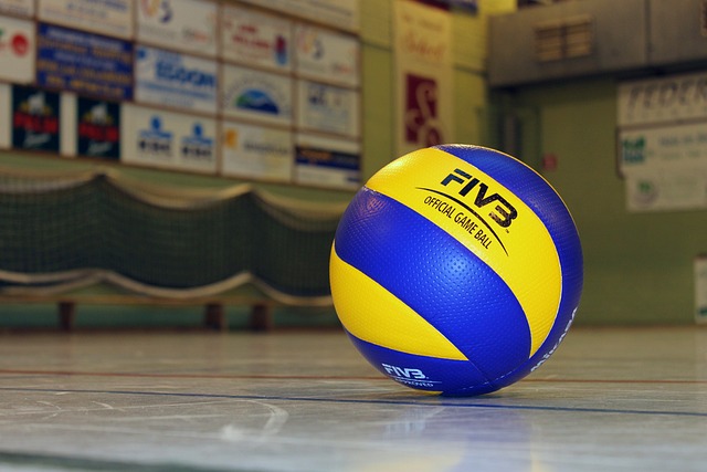 volley palla palestra