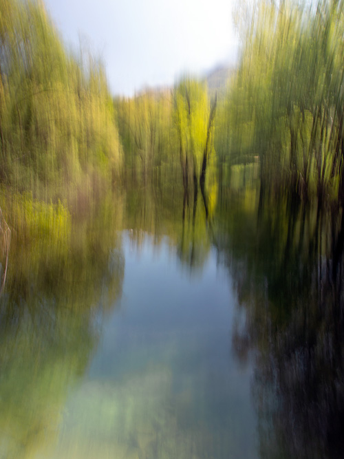 P4245782web