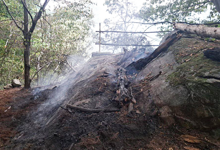 photo 2025 08 27 09.38.08