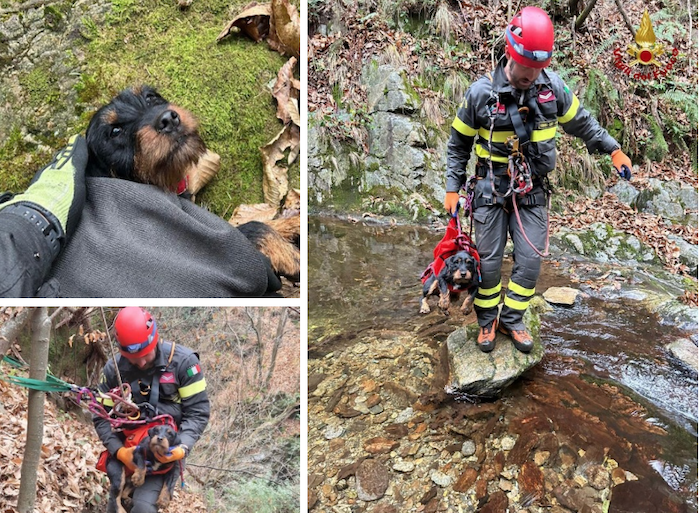 Schermata 2025 12 01 alle 17.35.26