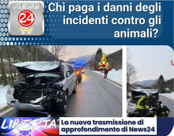 PHOTO 2025 11 05 16 22 40