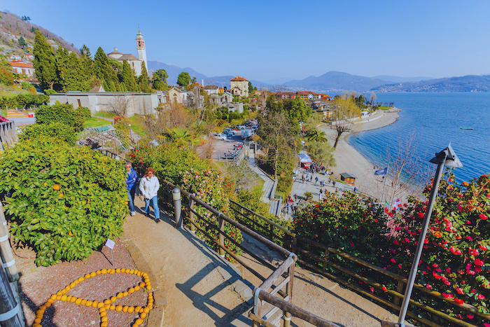 A Cannero Riviera sboccia la primavera: un weekend tra camelie e musica